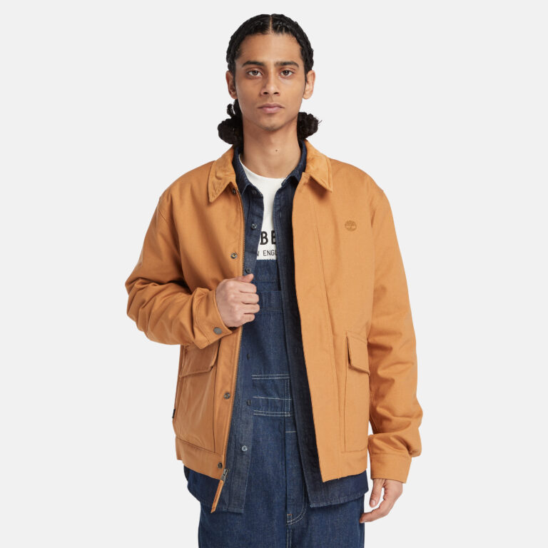 Men's Strafford Insulated Jacket - Timberland - Malaysia